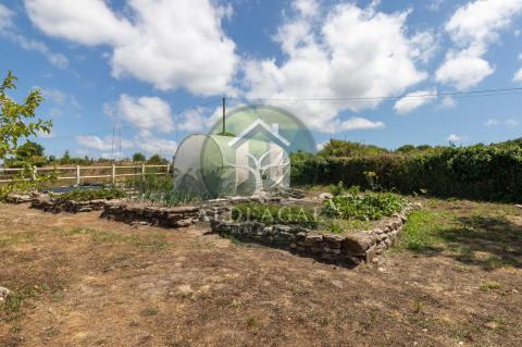 Venta - Lugo - Ref: C2