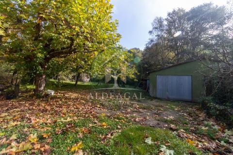 Venta - Begonte - Ref: C4