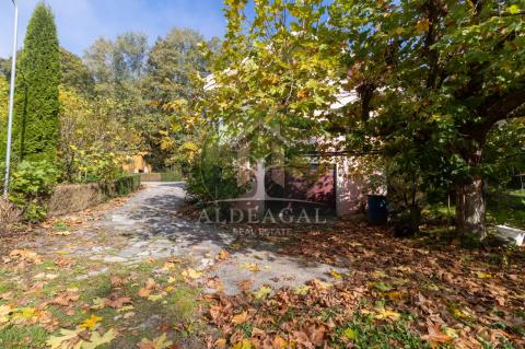 Venta - Begonte - Ref: C4