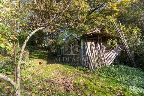 Venta - Begonte - Ref: C4