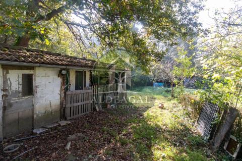 Venta - Begonte - Ref: C4