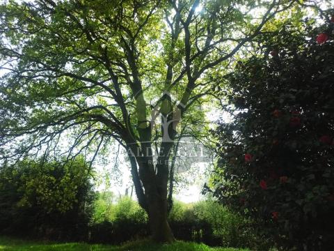 Espectacular Finca a un minuto de la A6, y cinco de Lugo capital