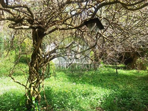 Espectacular Finca a un minuto de la A6, y cinco de Lugo capital